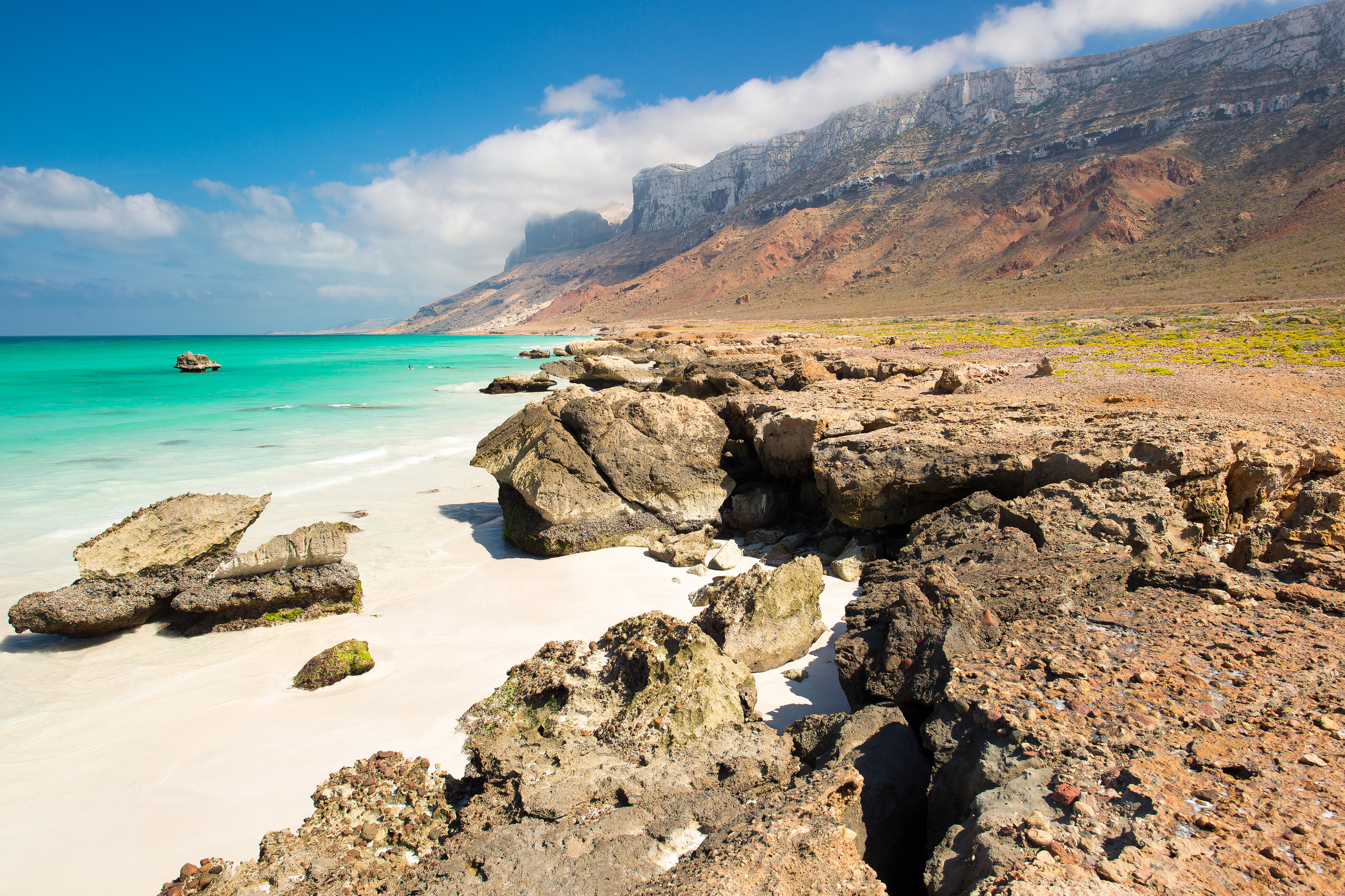 socotra island (3).webp